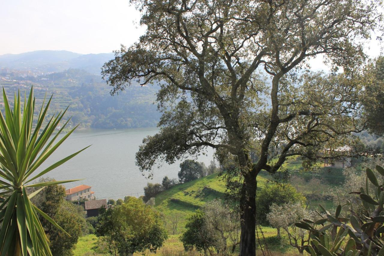 Quinta Das Quintas & Spa Baiao Luaran gambar