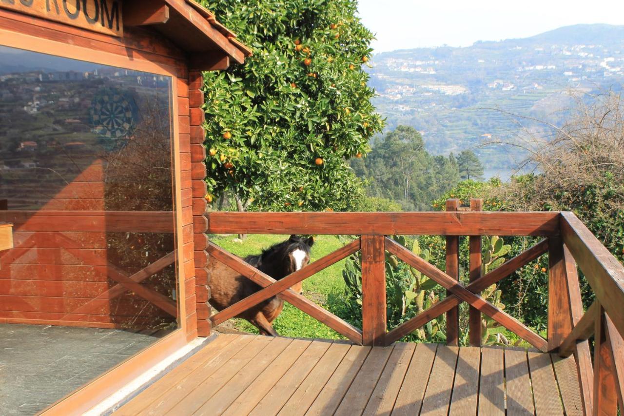 Quinta Das Quintas & Spa Baiao Luaran gambar
