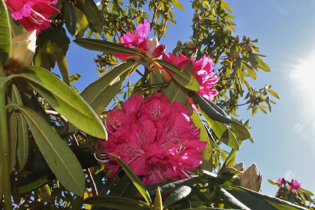Quinta Das Quintas & Spa Baiao Luaran gambar