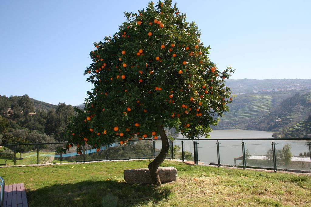 Quinta Das Quintas & Spa Baiao Luaran gambar