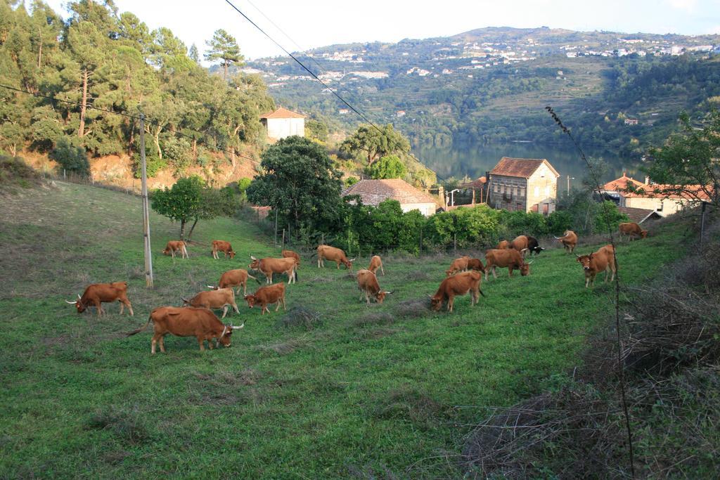 Quinta Das Quintas & Spa Baiao Luaran gambar
