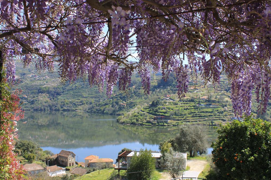 Quinta Das Quintas & Spa Baiao Luaran gambar